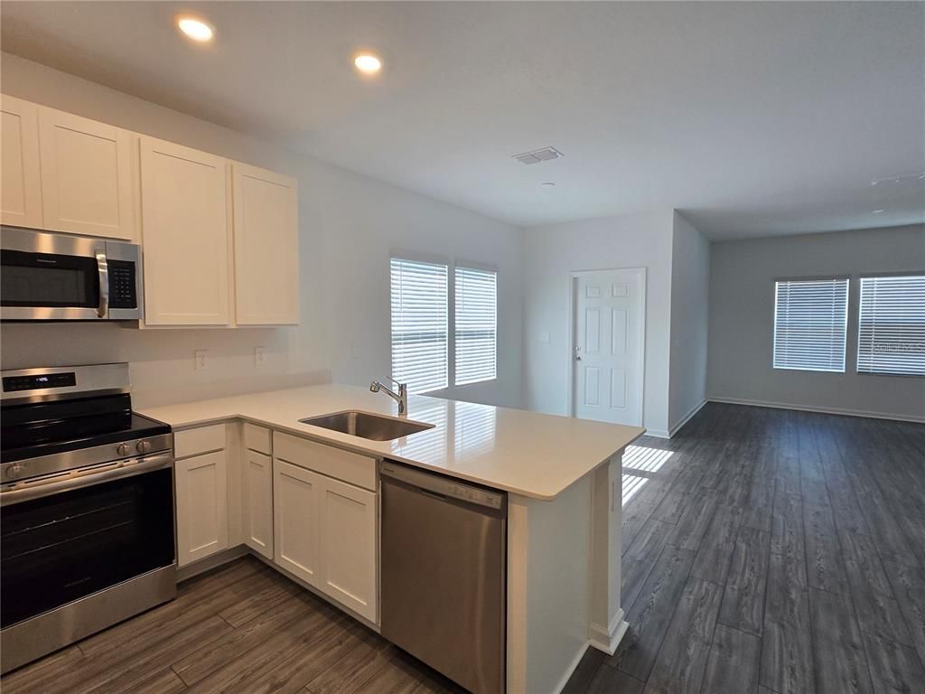 Interior, Kitchen, Recessed Lighting, Stainless Steel Appliances, Wood Texture Flooring