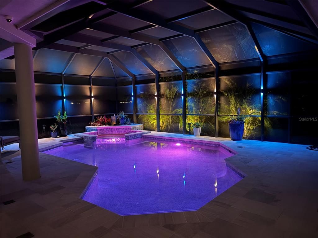 Glass Ceilings, Interior, Pool, Sun Room