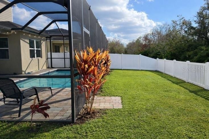 Backyard, Exterior, Pool