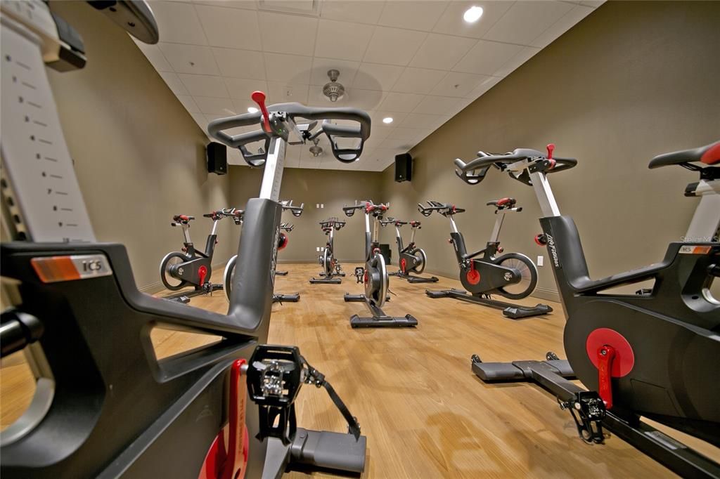 Fitness Equipment, Gym, Interior, Recessed Lighting, Wood Texture Flooring