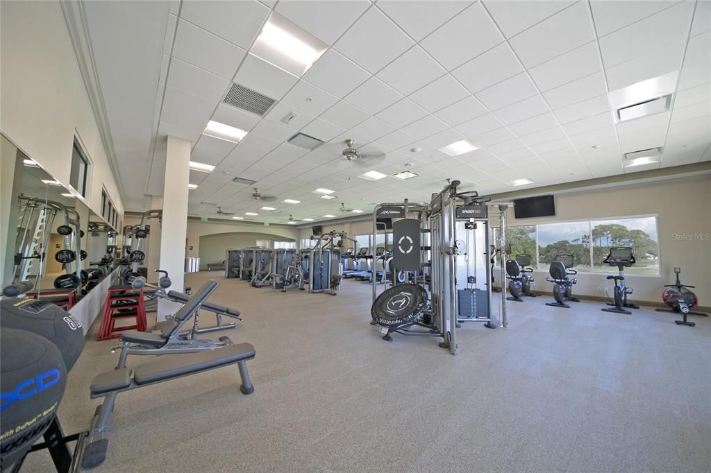 Fitness Equipment, Gym, Interior, Recessed Lighting
