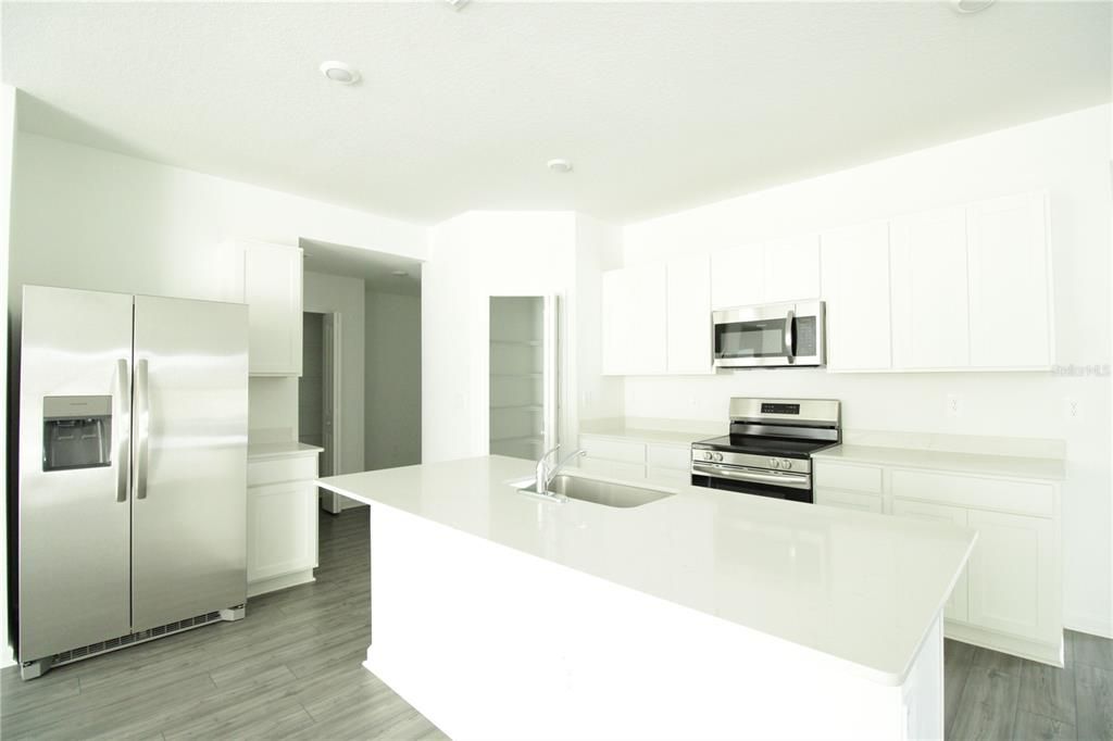 Interior, Kitchen, Stainless Steel Appliances, Wood Texture Flooring