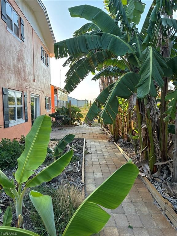 Backyard, Exterior