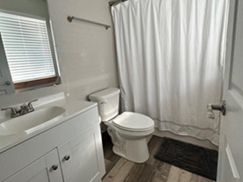 Bathroom, Interior, Wood Texture Flooring