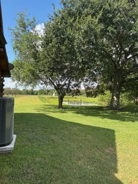 Backyard, Exterior, Water