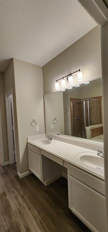 Bathroom, Dual Sink Vanities, Interior, Wood Texture Flooring