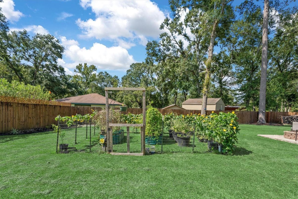 Backyard, Exterior, Playground