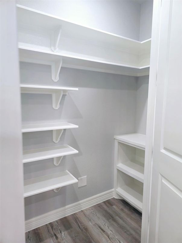Interior, Walk-in Closets, Wood Texture Flooring