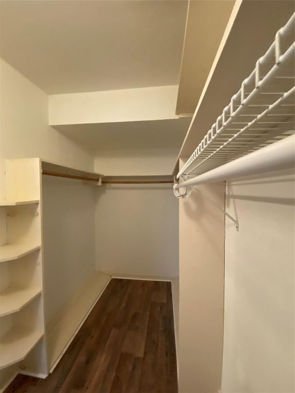 Interior, Walk-in Closets, Wood Texture Flooring