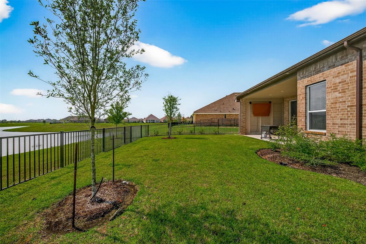 Backyard, Exterior, Water