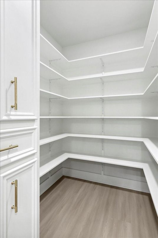 Interior, Walk-in Closets, Wood Texture Flooring