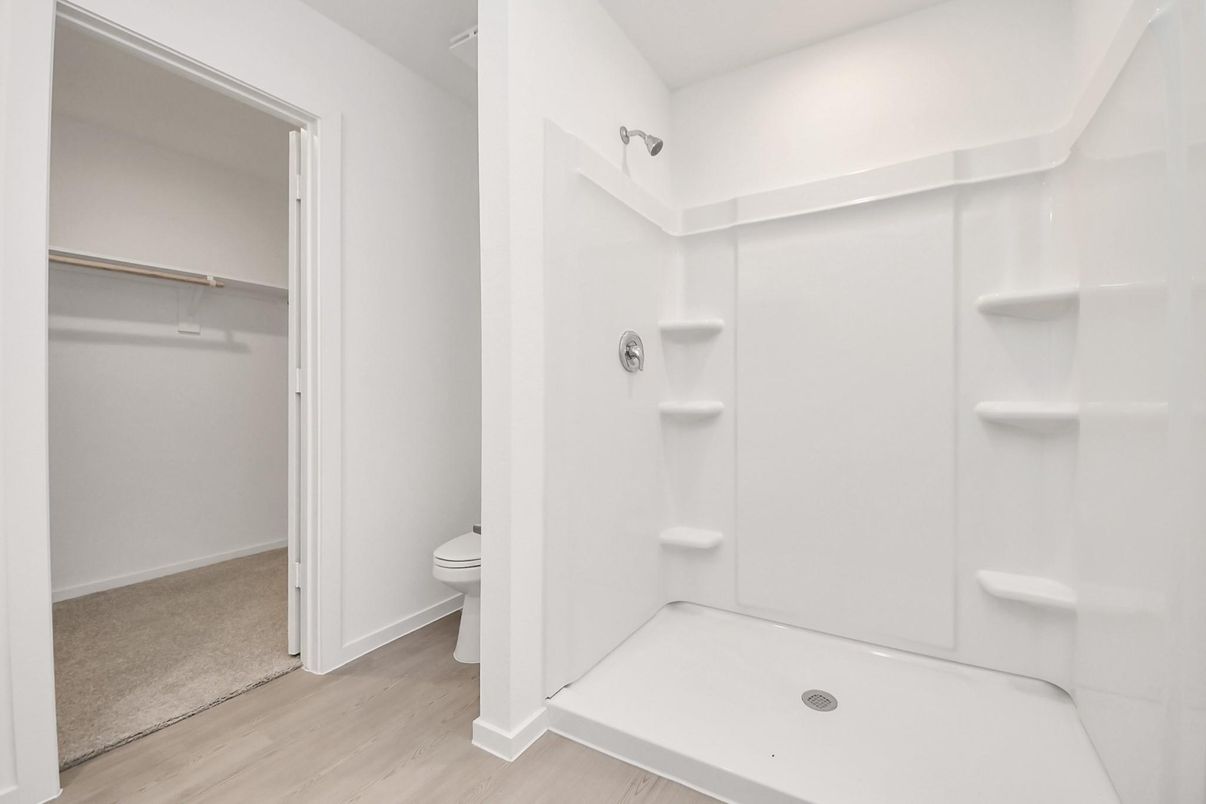 Bathroom, Interior, Walk-in Closets, Wood Texture Flooring