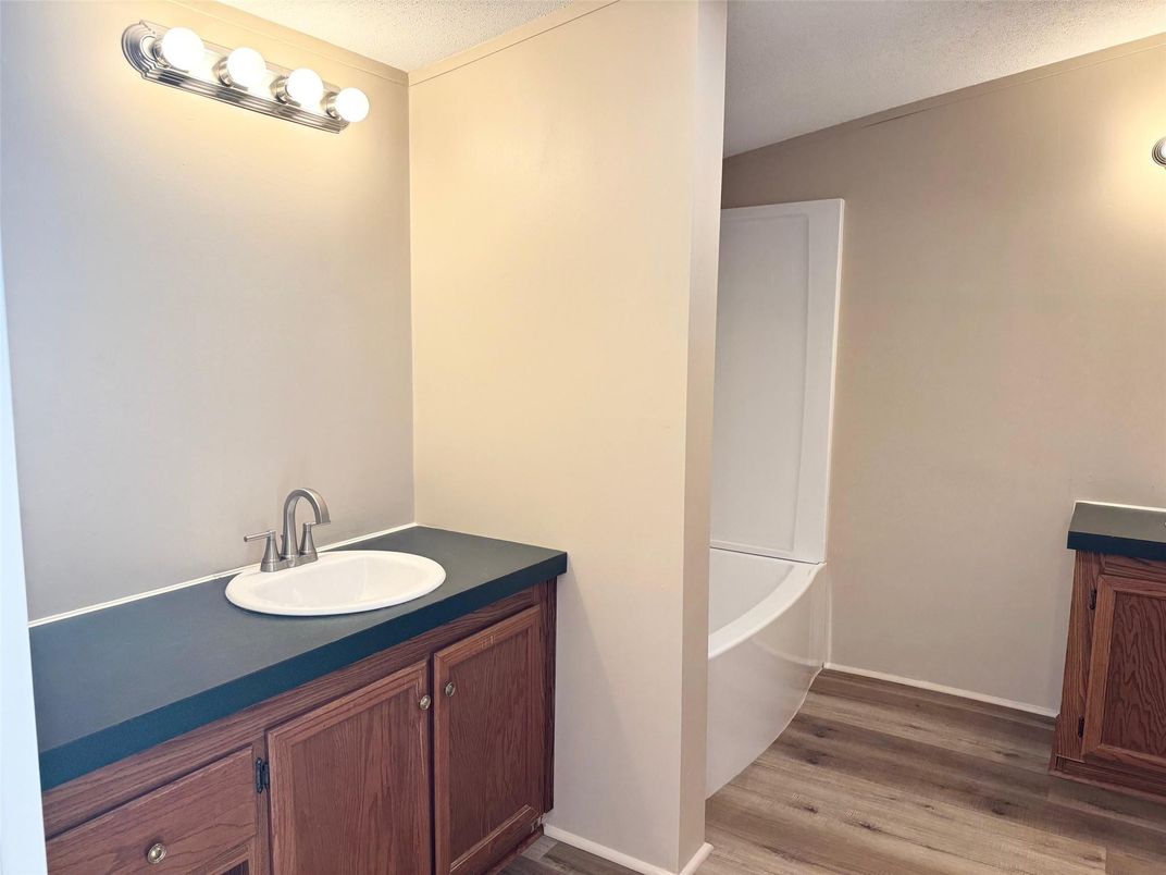 Bathroom, Interior, Wood Texture Flooring