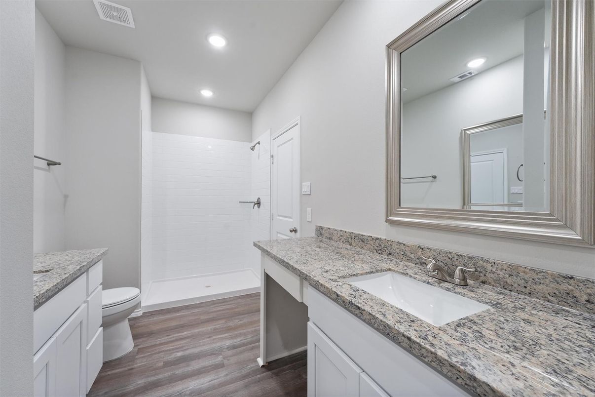 Bathroom, Interior, Recessed Lighting, Wood Texture Flooring