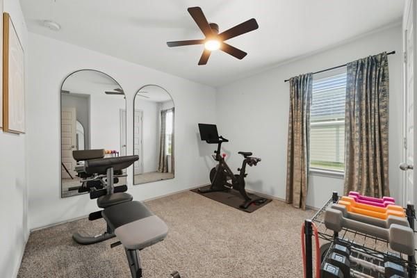 Fitness Equipment, Interior