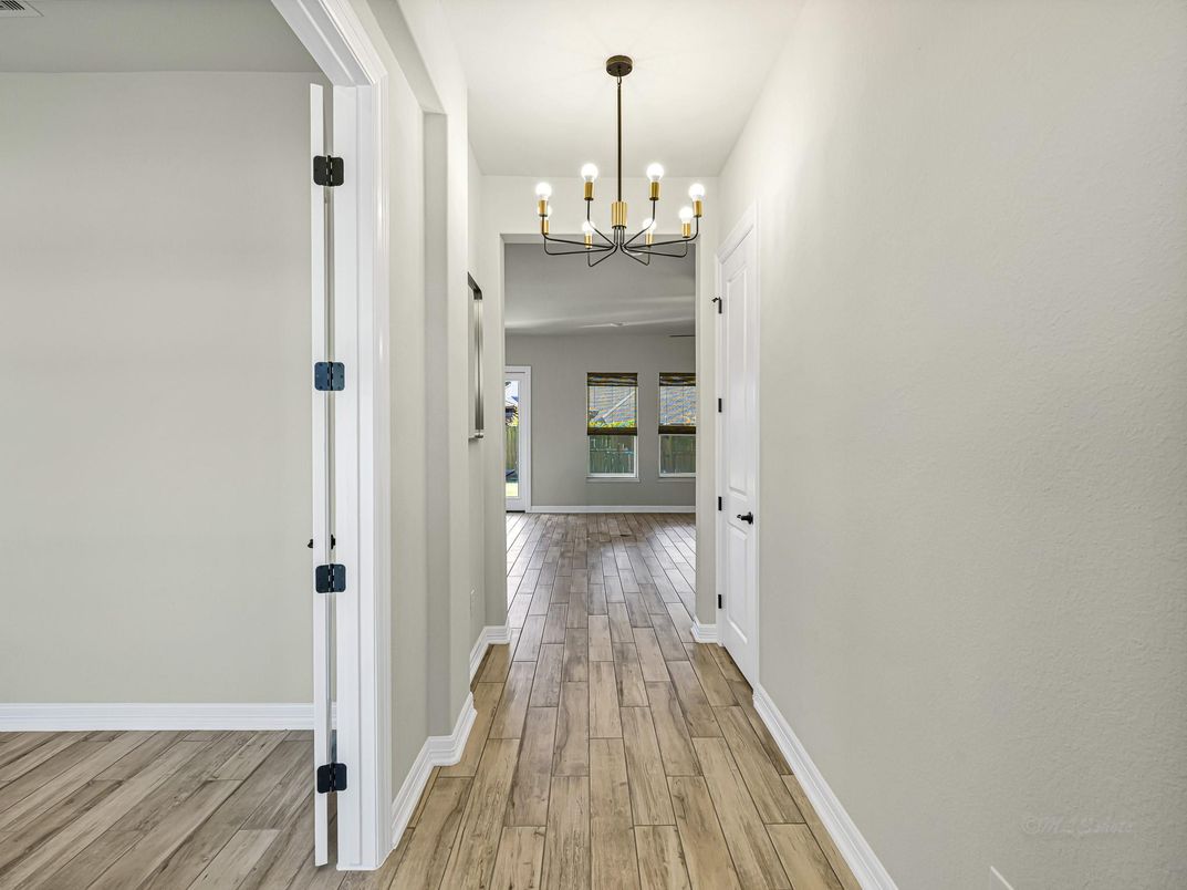 Chandelier, Interior, Wood Texture Flooring