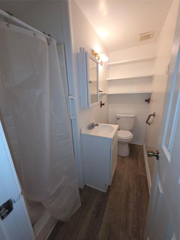 Bathroom, Interior, Wood Texture Flooring