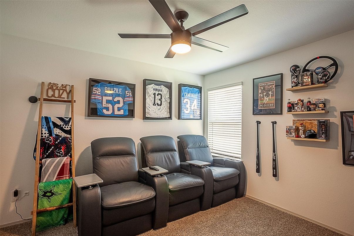 Home Theatre Room, Interior