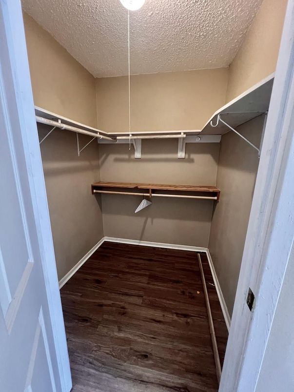 Interior, Walk-in Closets, Wood Texture Flooring