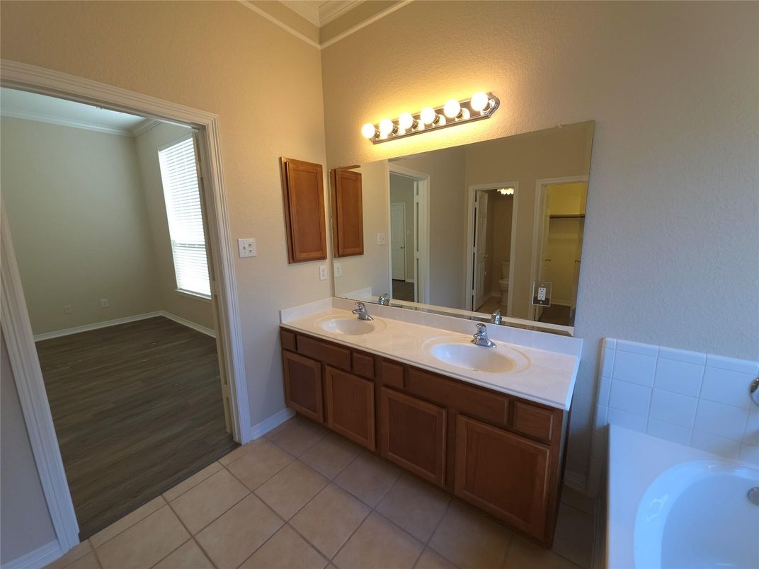 Bathroom, Dual Sink Vanities, Interior, Wood Texture Flooring