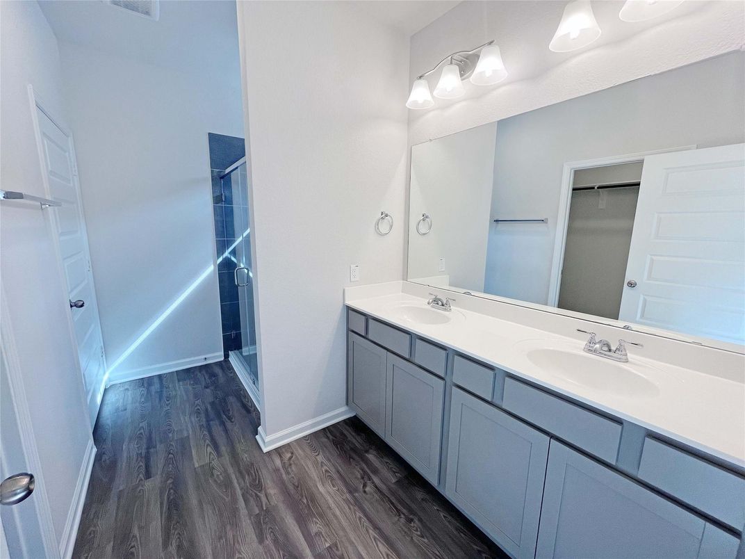 Bathroom, Dual Sink Vanities, Interior, Wood Texture Flooring