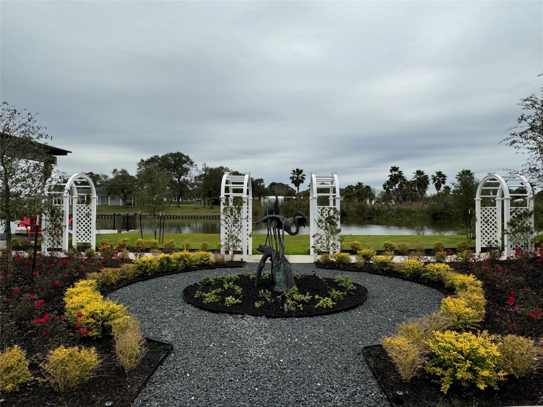 Backyard, Exterior, Water