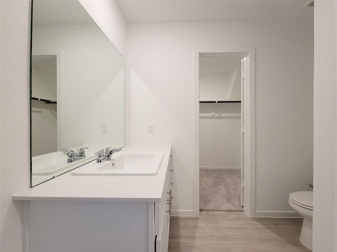 Bathroom, Dual Sink Vanities, Interior, Wood Texture Flooring