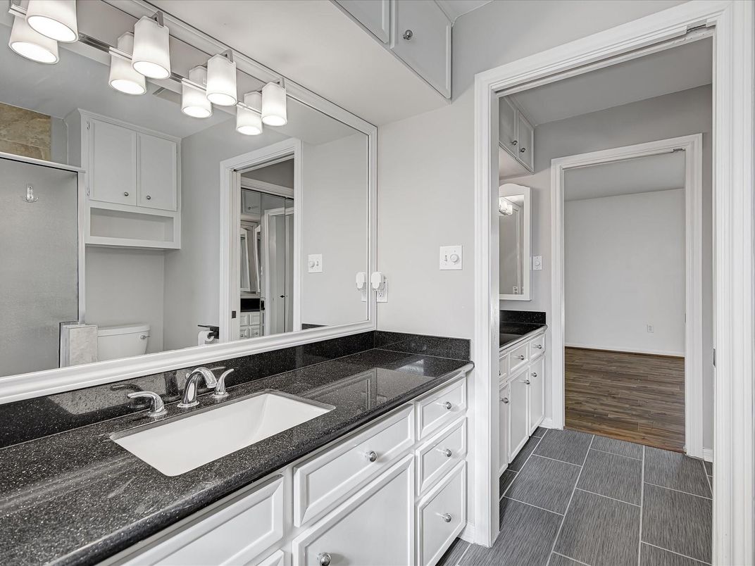 Bathroom, Dual Sink Vanities, Interior, Wood Texture Flooring