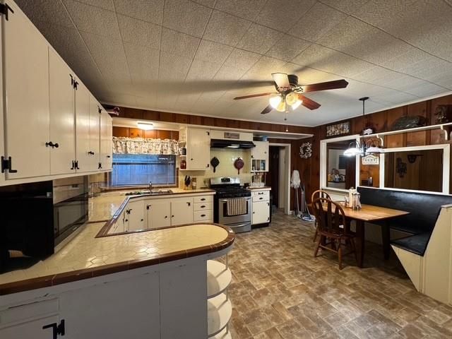 Interior, Kitchen, Wooden Walls
