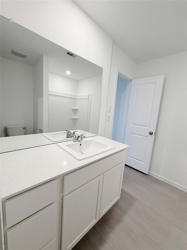 Bathroom, Interior, Recessed Lighting, Wood Texture Flooring