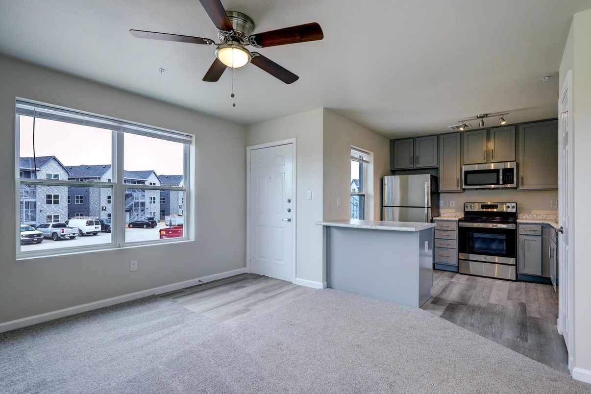 Interior, Kitchen, Stainless Steel Appliances, Wood Texture Flooring