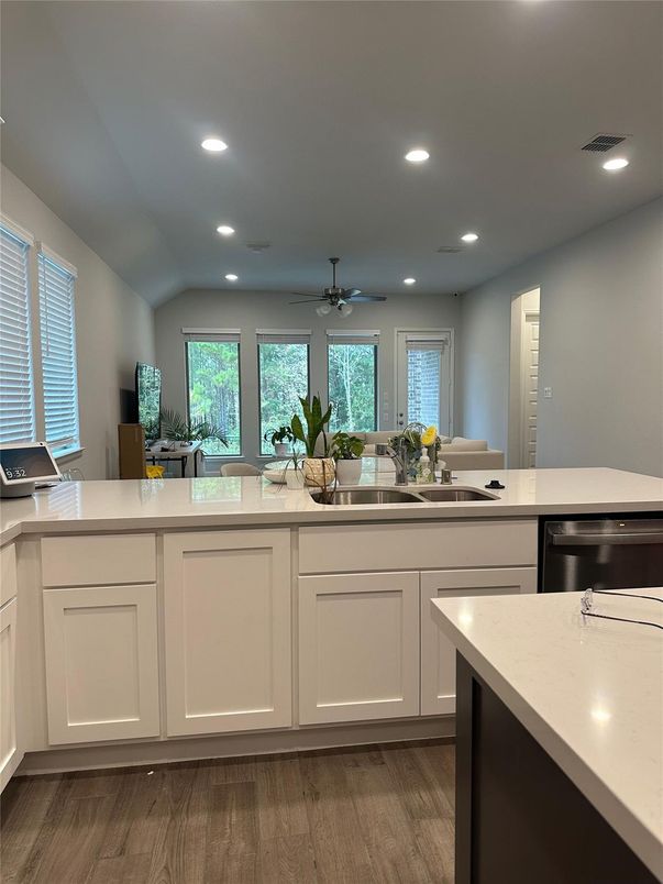 Interior, Kitchen, Recessed Lighting, Wood Texture Flooring