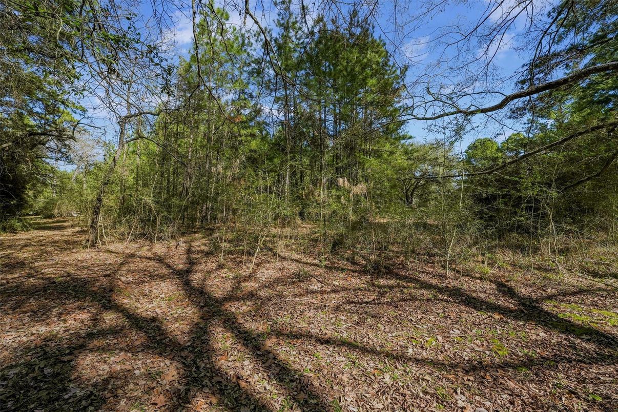 DE Listing image placeholder