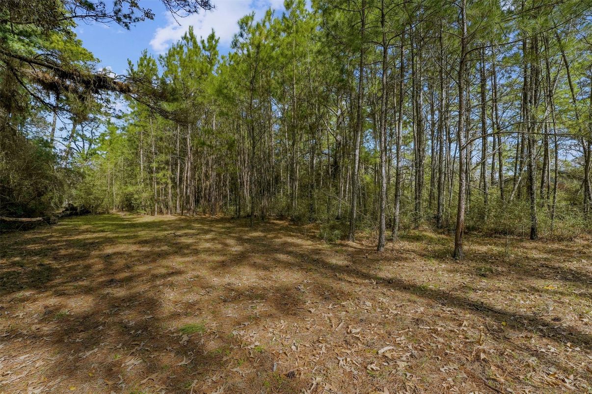 DE Listing image placeholder