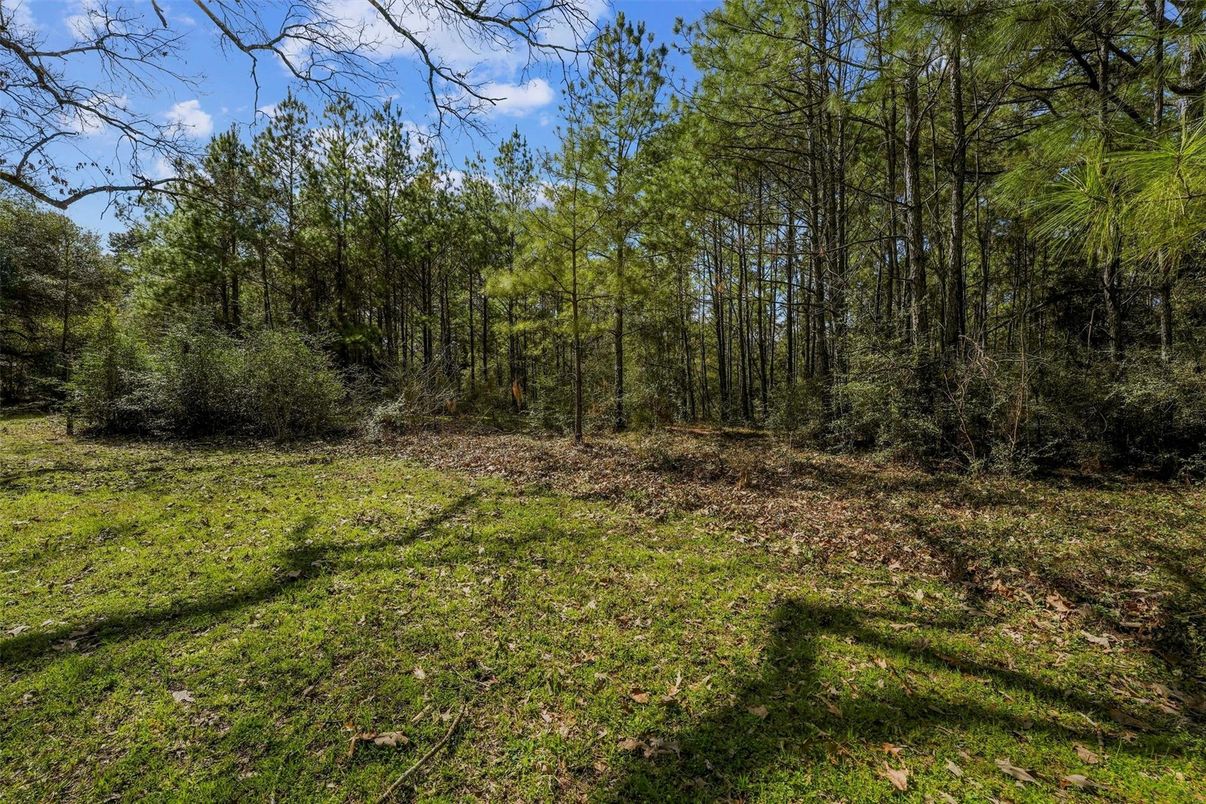 DE Listing image placeholder