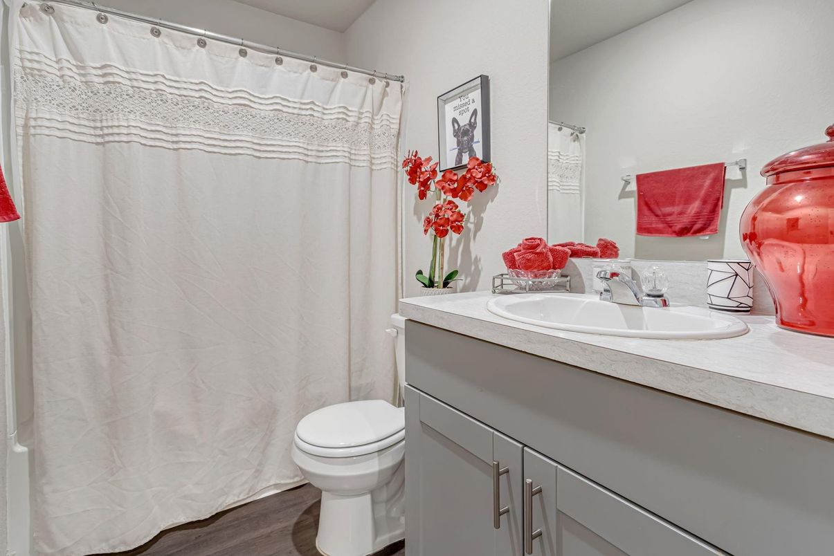 Bathroom, Interior, Wood Texture Flooring