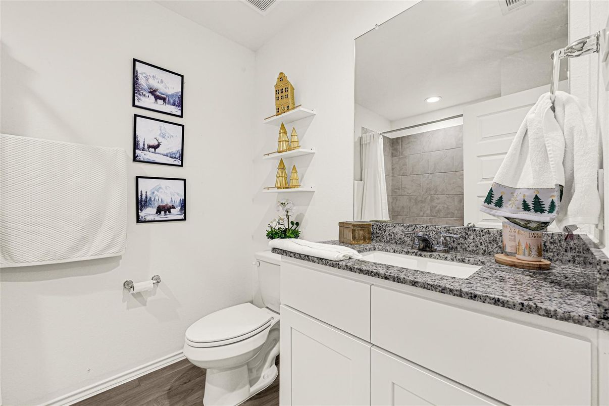 Bathroom, Interior, Recessed Lighting, Wood Texture Flooring