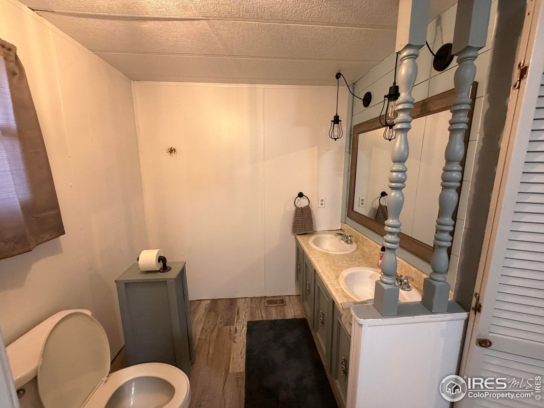 Bathroom, Dual Sink Vanities, Interior, Wood Texture Flooring