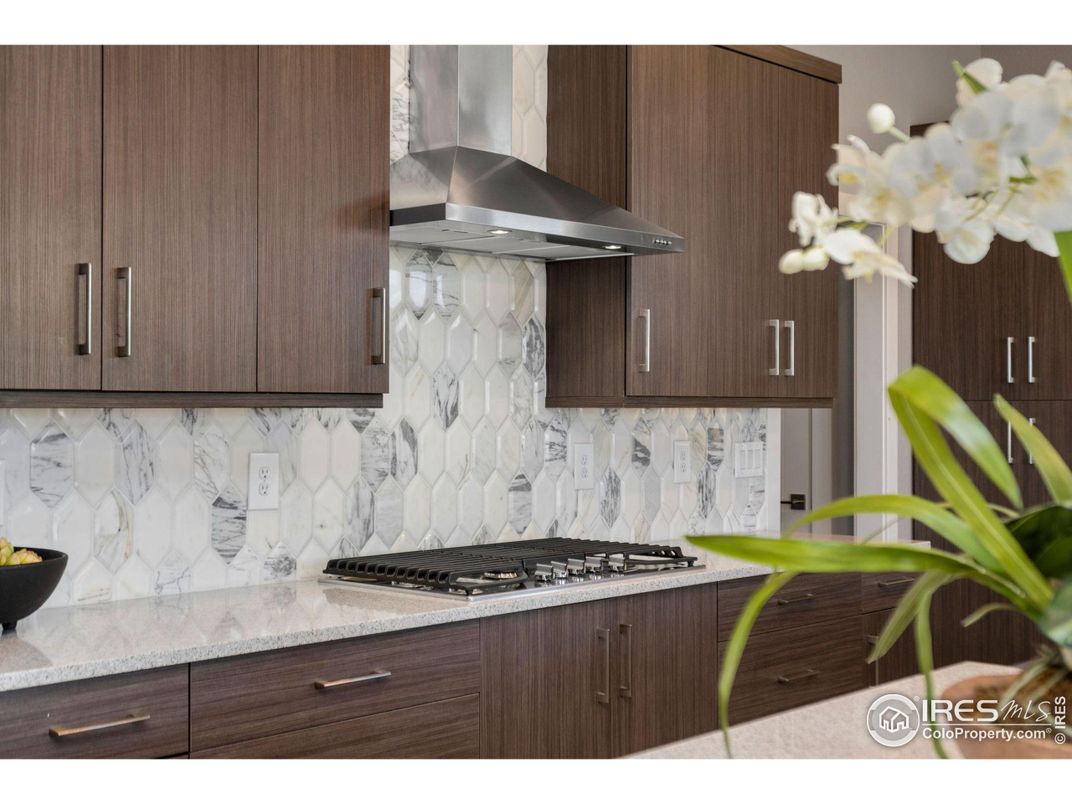 Interior, Kitchen, Marble Walls, Stainless Steel Appliances