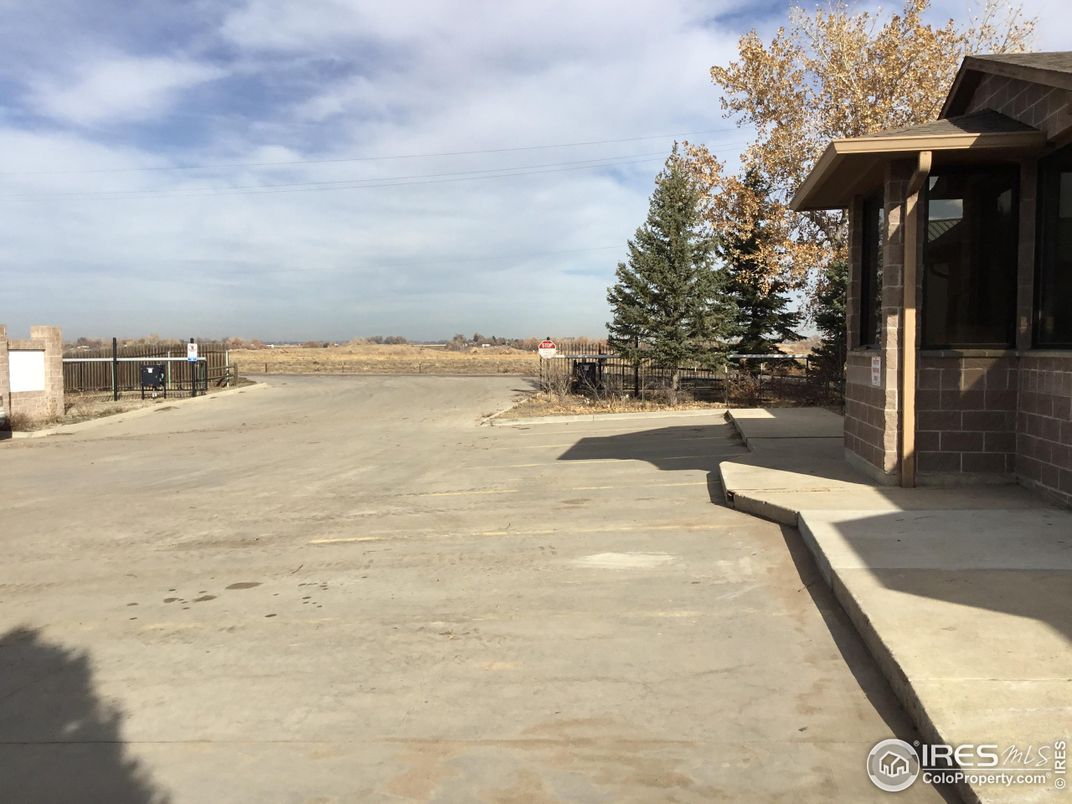 Backyard, Exterior, Water