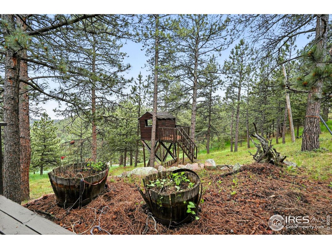 Exterior, Wood Texture Flooring
