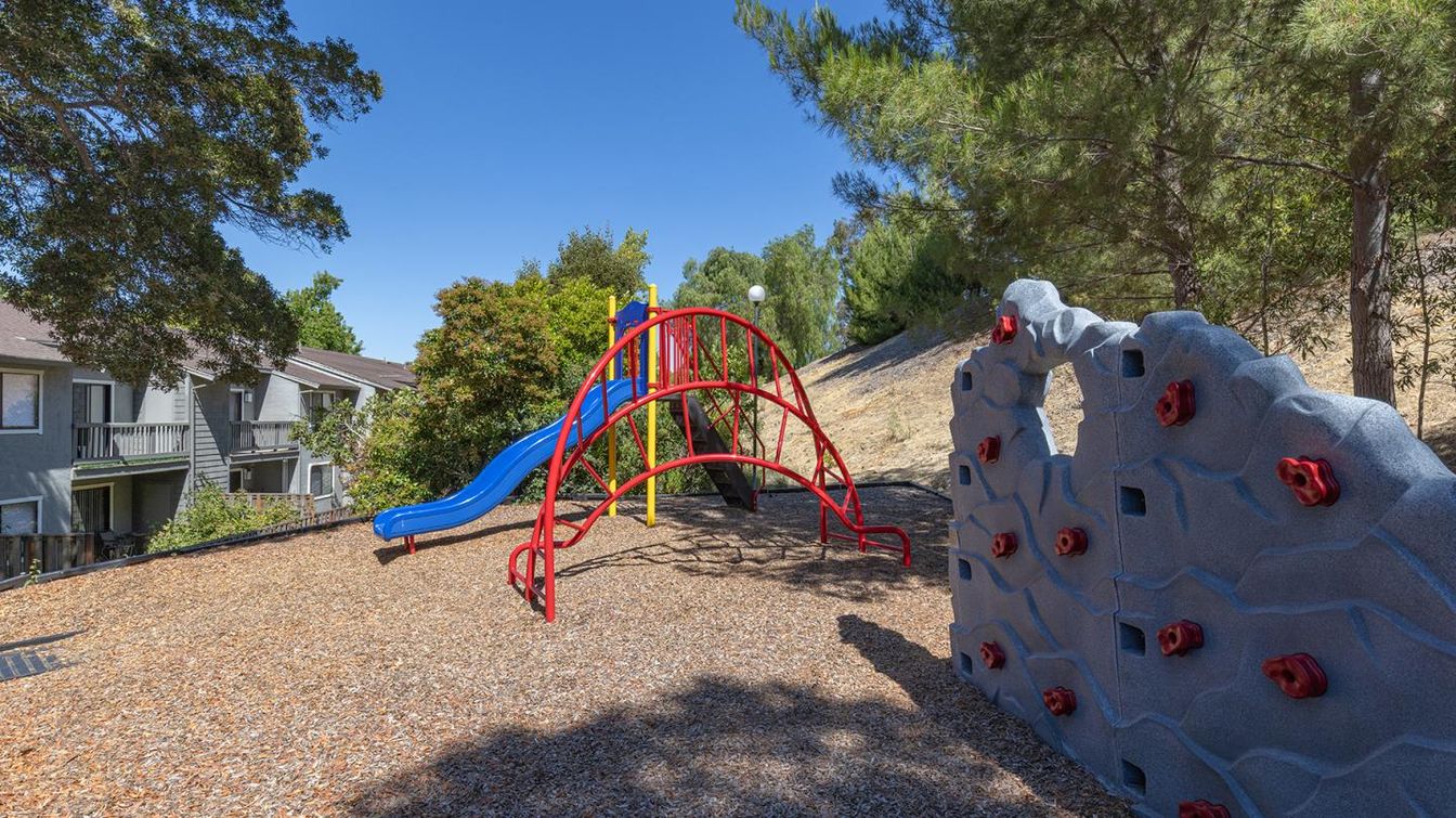 Backyard, Exterior, Playground