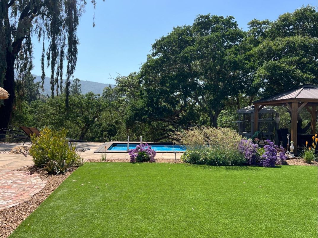 Backyard, Exterior, Pool