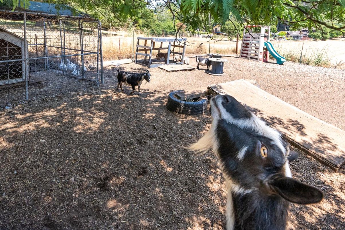 Backyard, Exterior, Playground