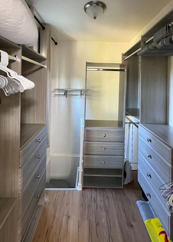 Interior, Walk-in Closets, Wood Texture Flooring
