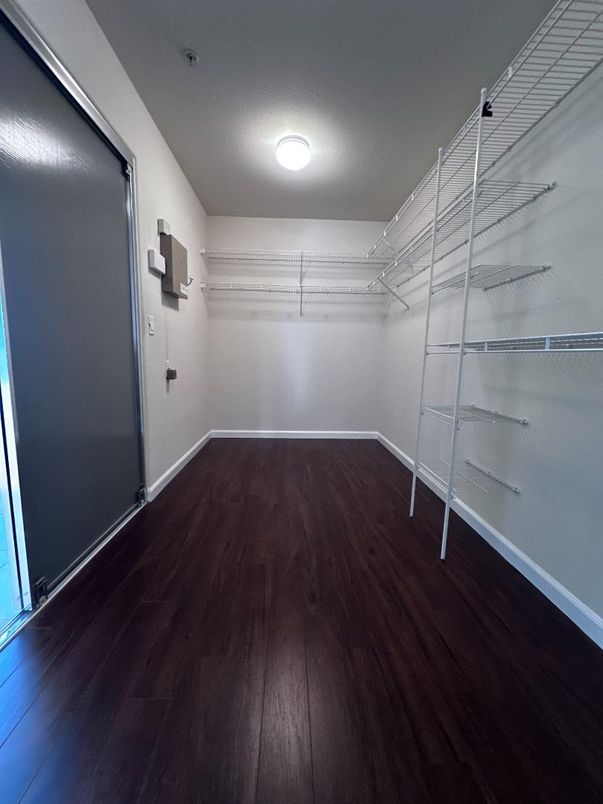 Interior, Walk-in Closets, Wood Texture Flooring