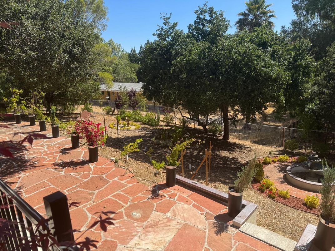 Backyard, Exterior