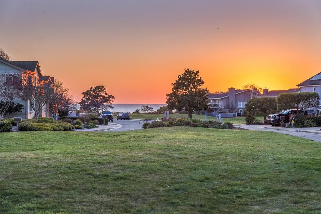 Backyard, Exterior, Water