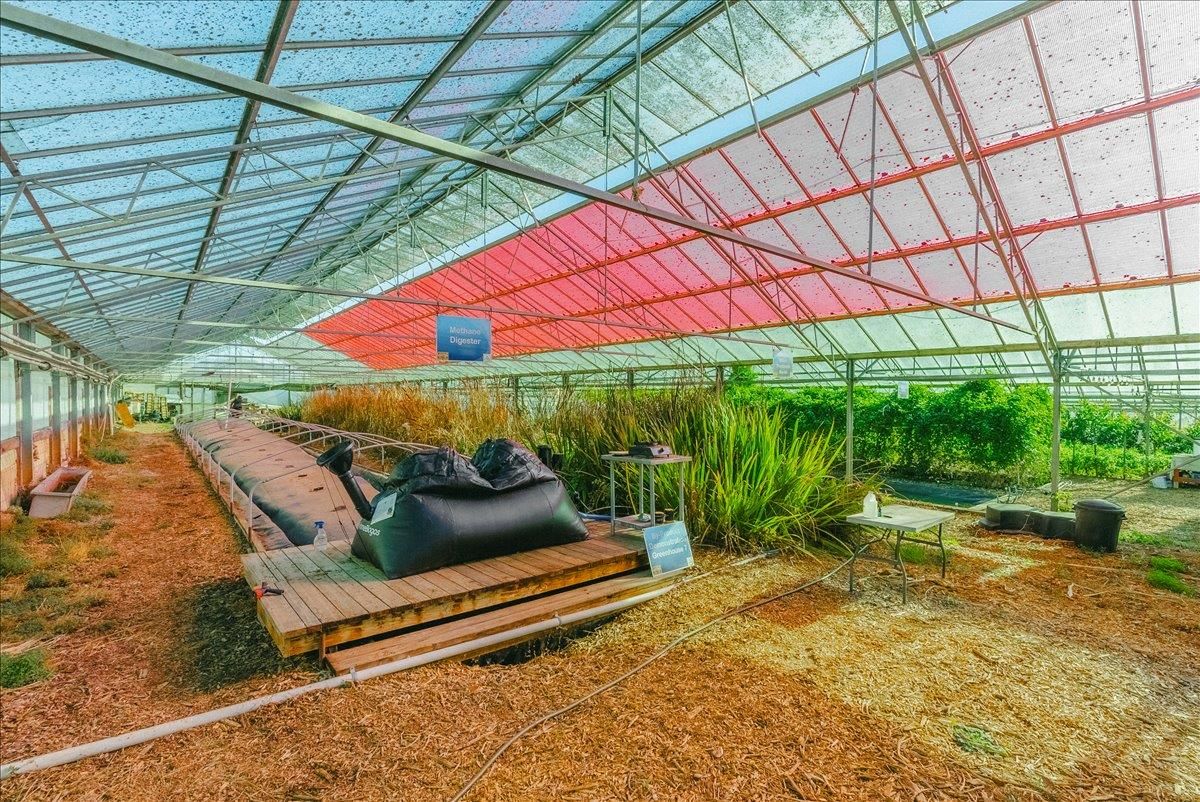 Interior, Sun Room
