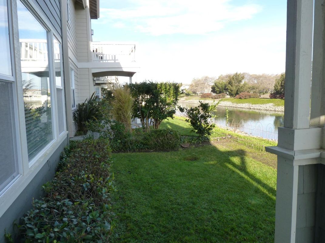 Backyard, Exterior, Water